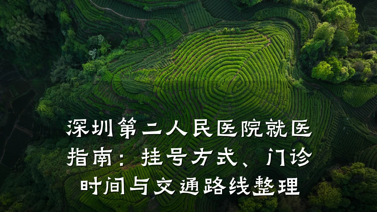 深圳第二人民医院就医指南：挂号方式、门诊时间与交通路线整理
