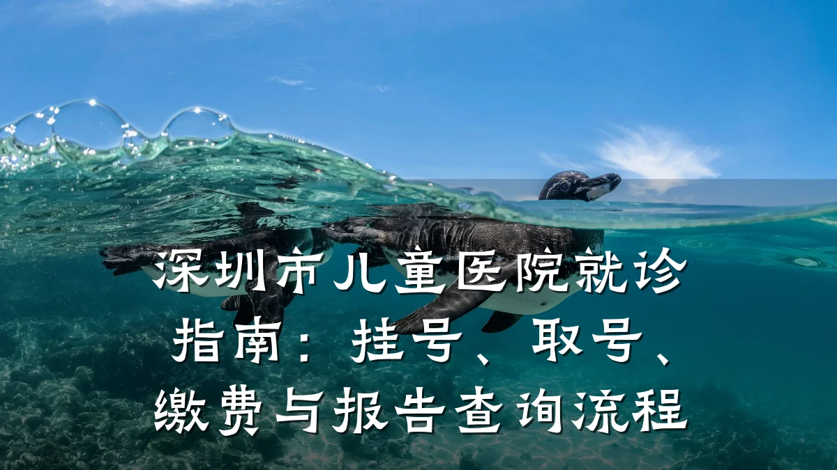 深圳市儿童医院就诊指南：挂号、取号、缴费与报告查询流程