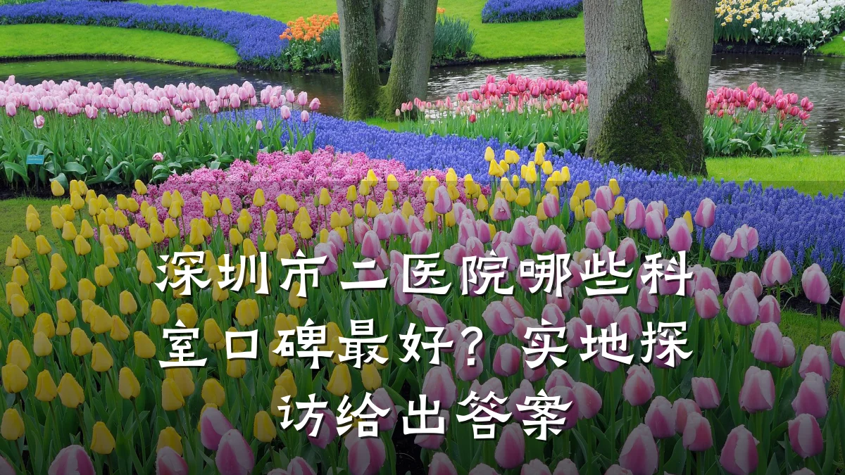深圳市二医院哪些科室口碑最好？实地探访给出答案
