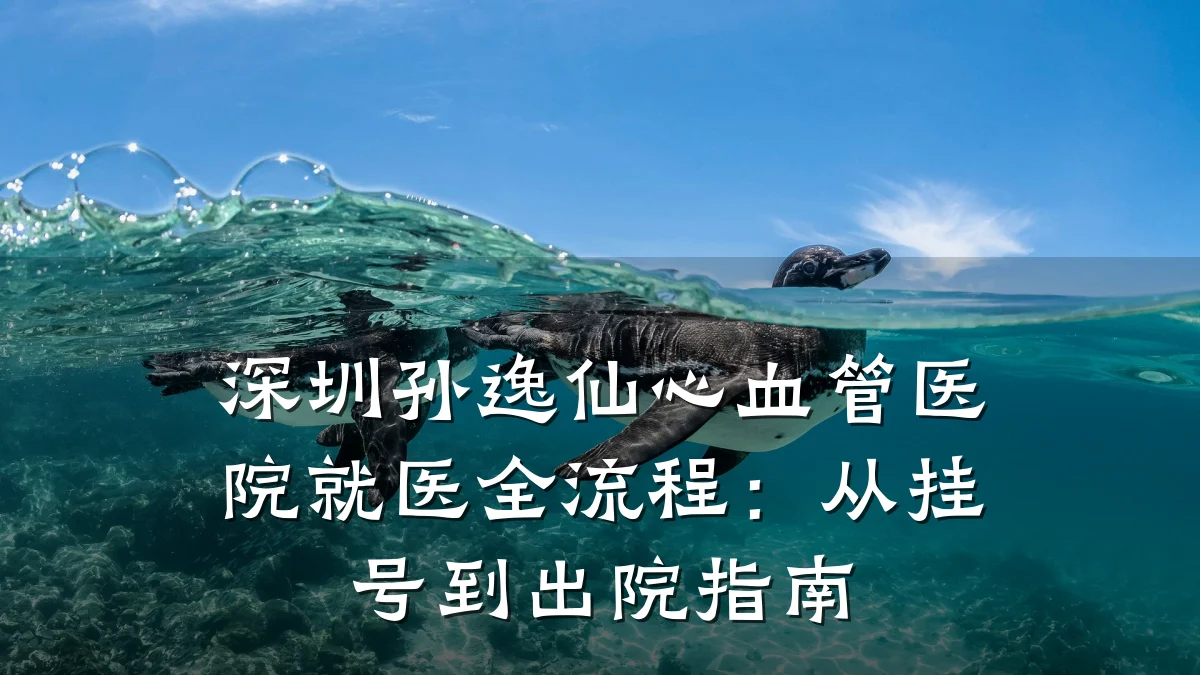 深圳孙逸仙心血管医院就医全流程：从挂号到出院指南