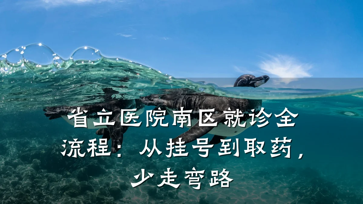省立医院南区就诊全流程：从挂号到取药，少走弯路
