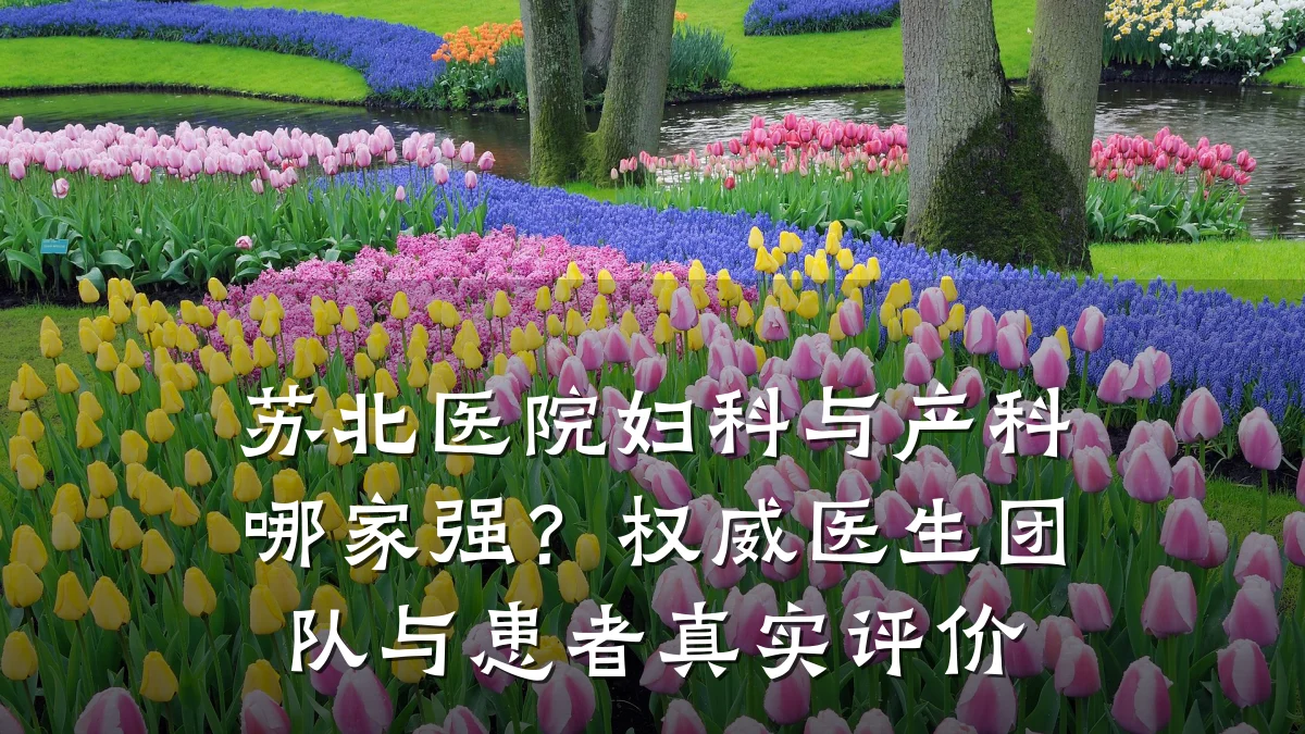 苏北医院妇科与产科哪家强？权威医生团队与患者真实评价