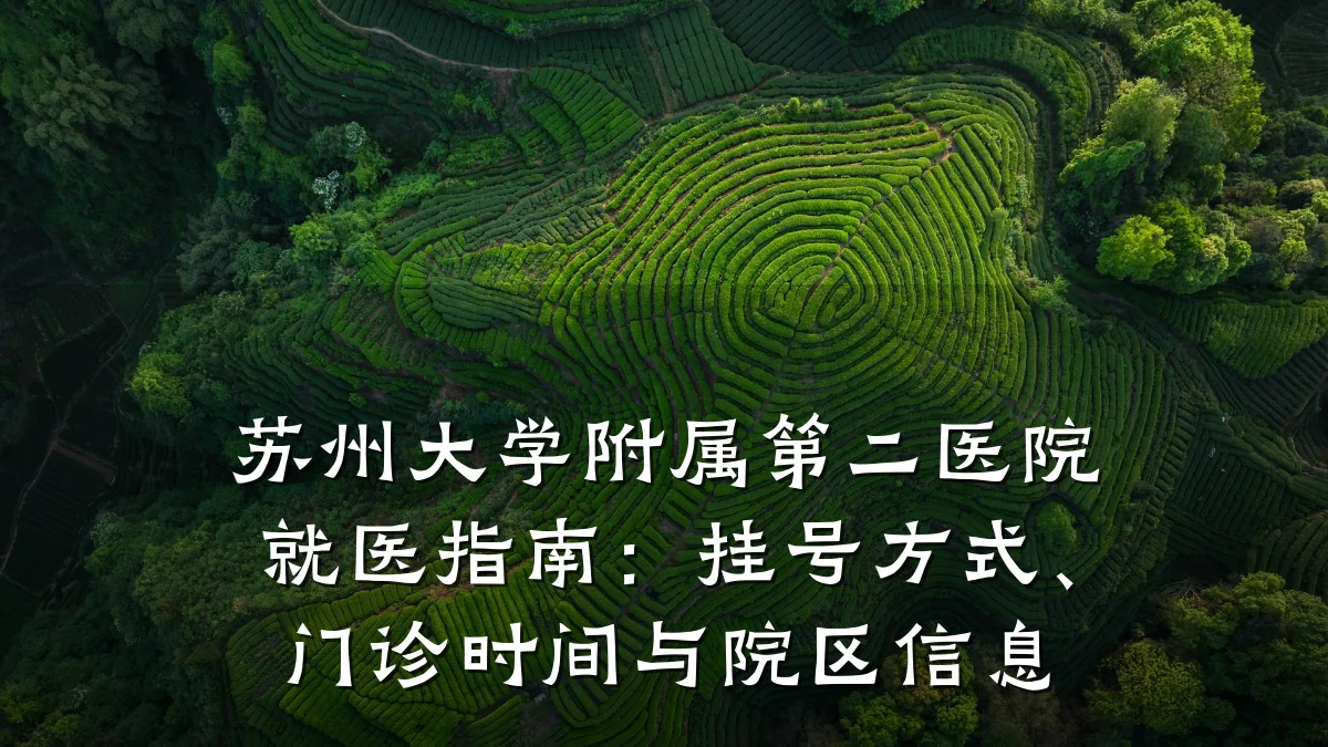 苏州大学附属第二医院就医指南：挂号方式、门诊时间与院区信息