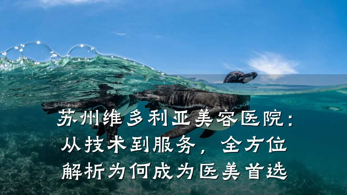 苏州维多利亚美容医院：从技术到服务，全方位解析为何成为医美首选