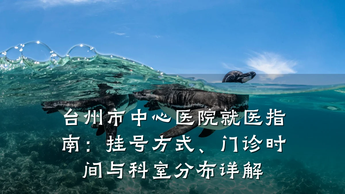 台州市中心医院就医指南：挂号方式、门诊时间与科室分布详解