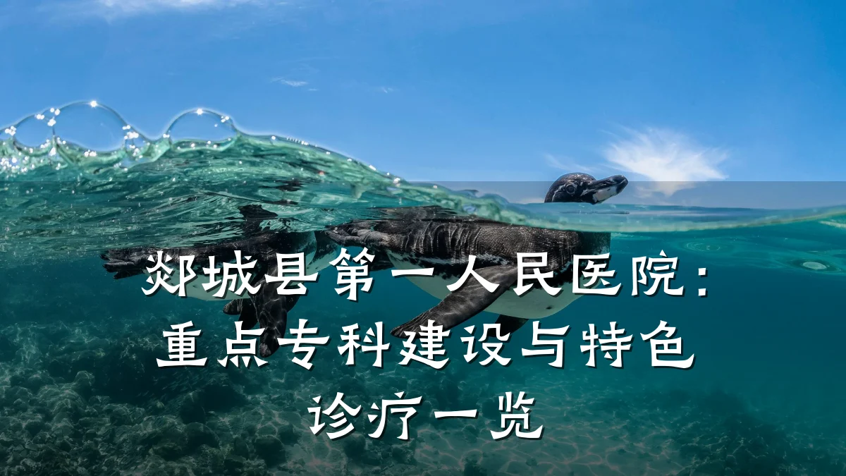 郯城县第一人民医院:重点专科建设与特色诊疗一览