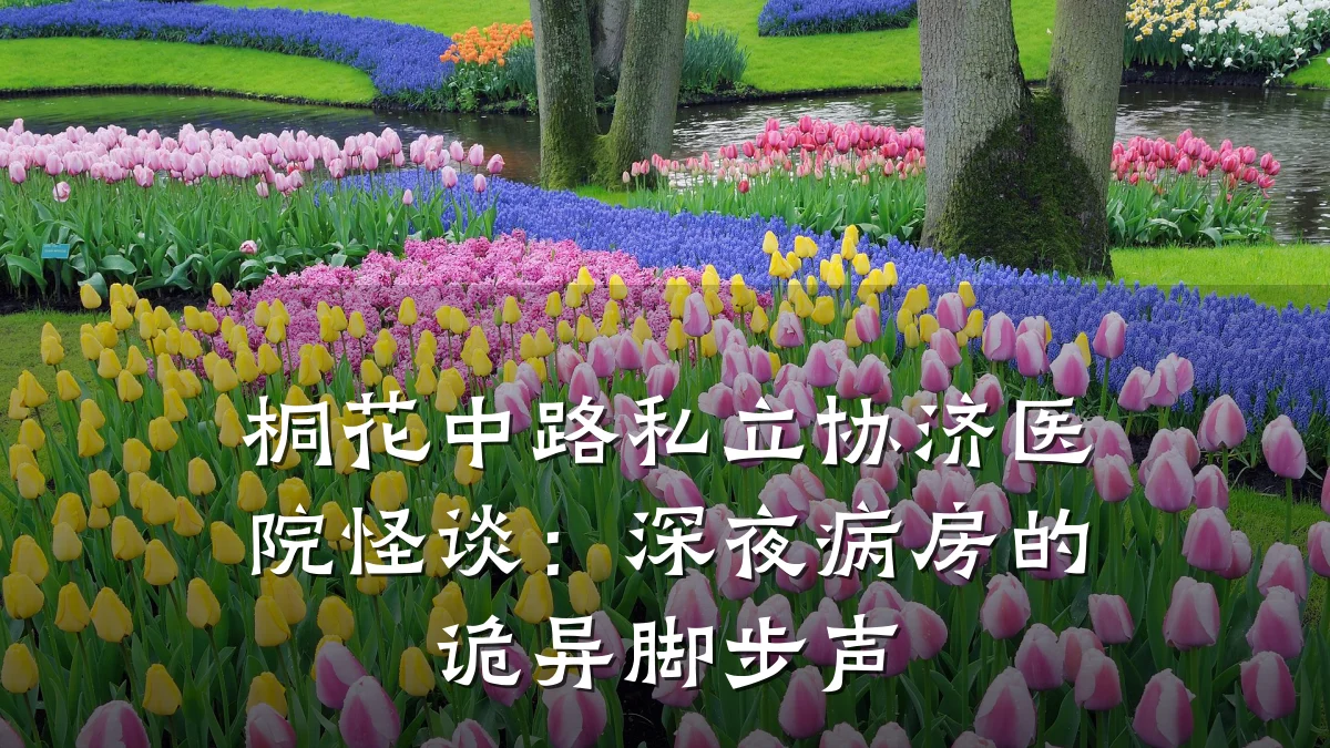 桐花中路私立协济医院怪谈：深夜病房的诡异脚步声