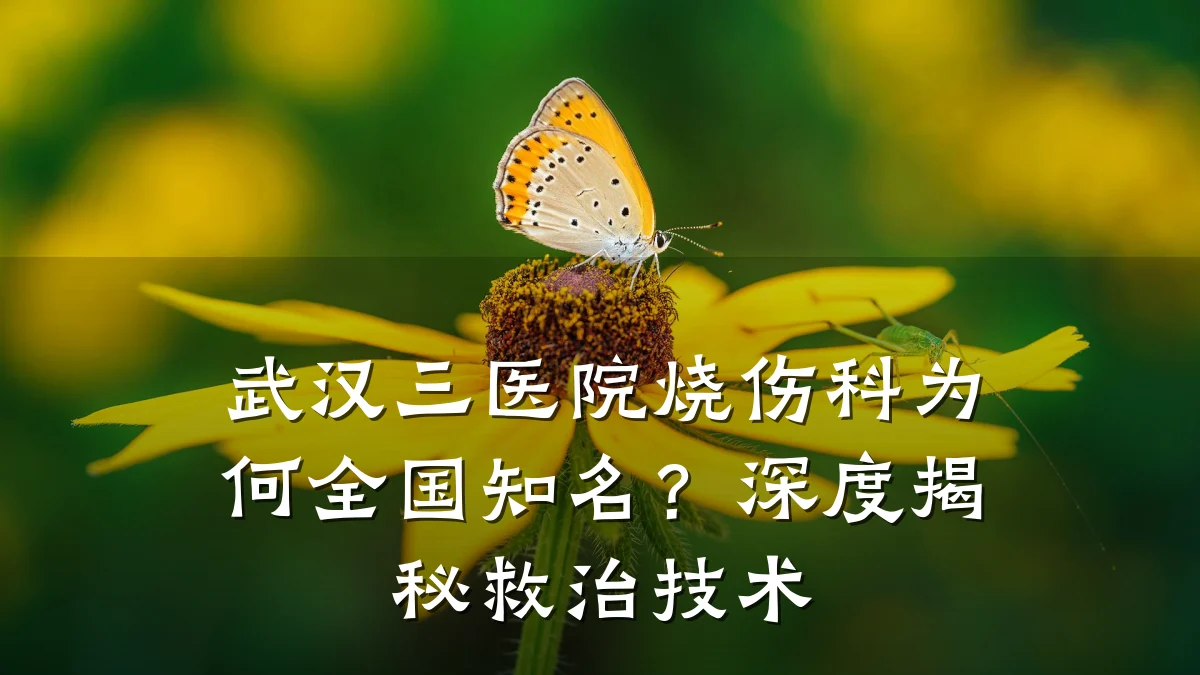 武汉三医院烧伤科为何全国知名?深度揭秘救治技术