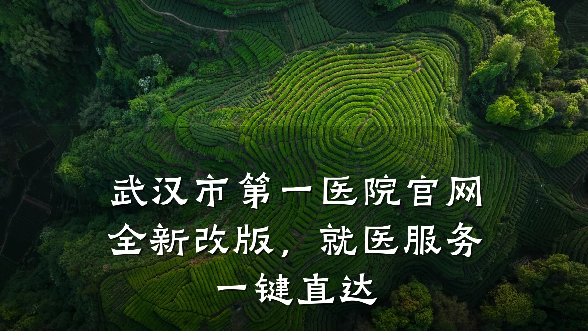 武汉市第一医院官网全新改版，就医服务一键直达