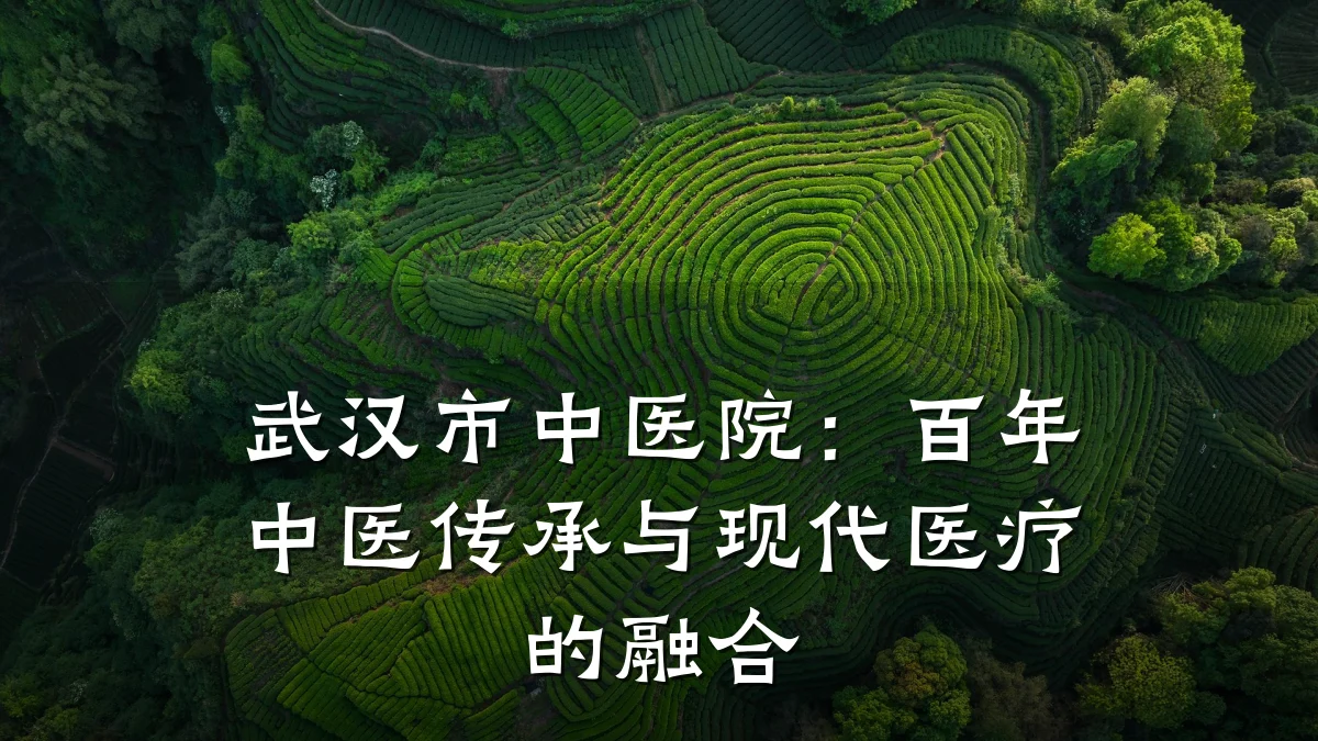 武汉市中医院：百年中医传承与现代医疗的融合