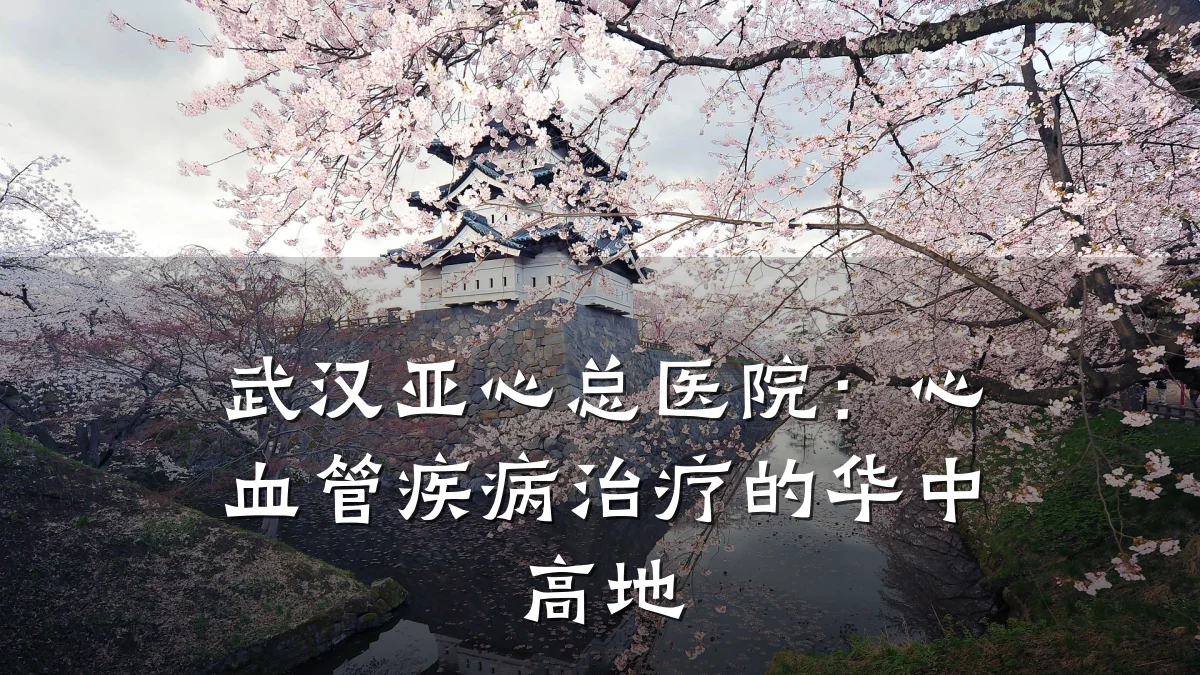 武汉亚心总医院:心血管疾病治疗的华中高地