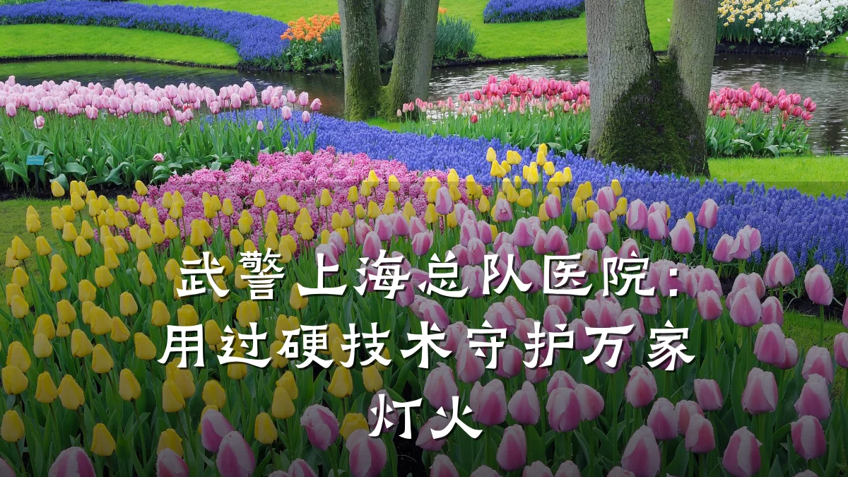 武警上海总队医院:用过硬技术守护万家灯火