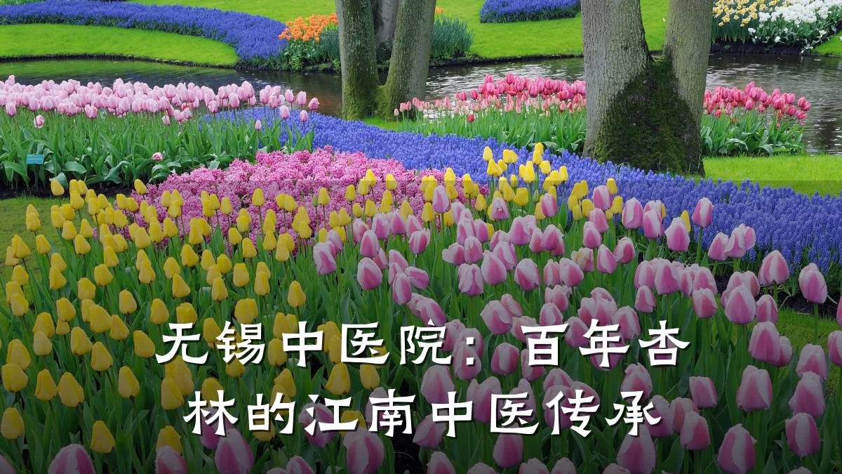 无锡中医院:百年杏林的江南中医传承
