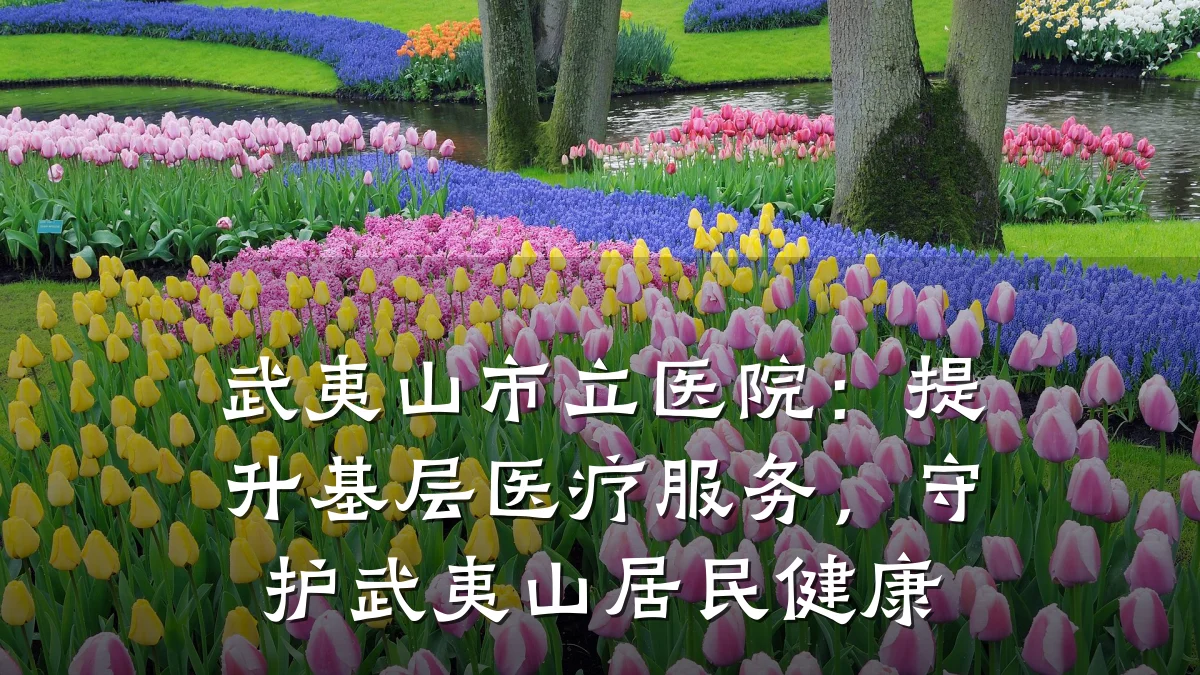 武夷山市立医院：提升基层医疗服务，守护武夷山居民健康