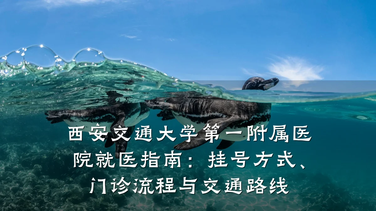 西安交通大学第一附属医院就医指南：挂号方式、门诊流程与交通路线