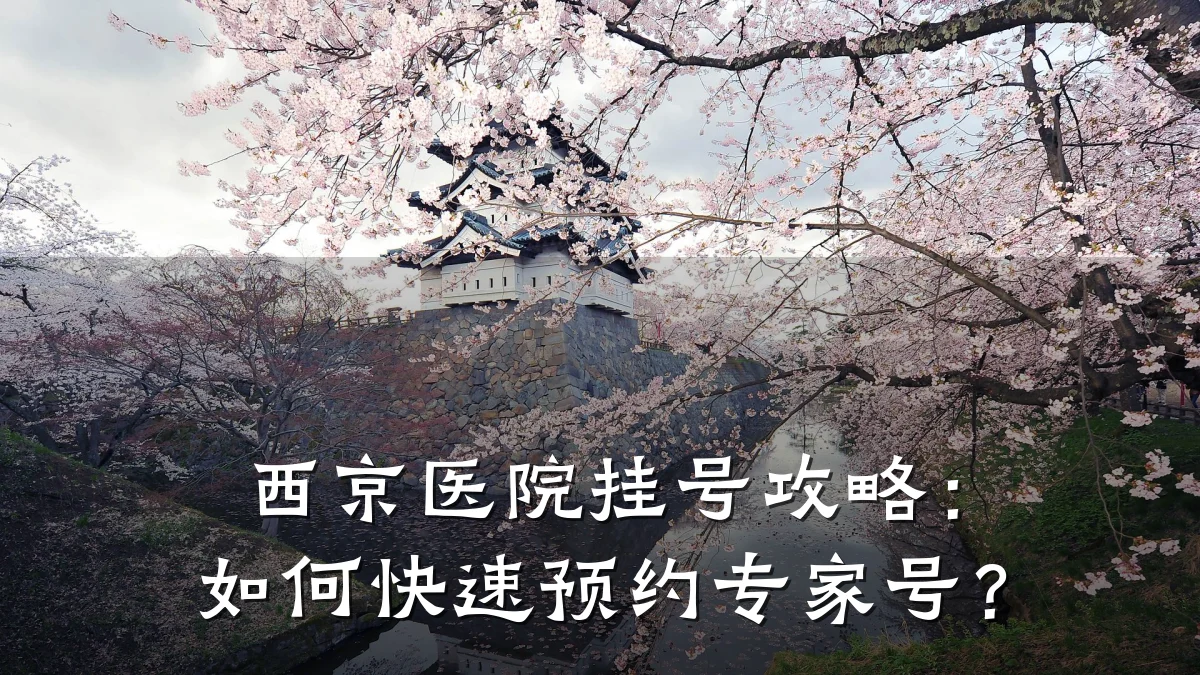 西京医院挂号攻略：如何快速预约专家号？