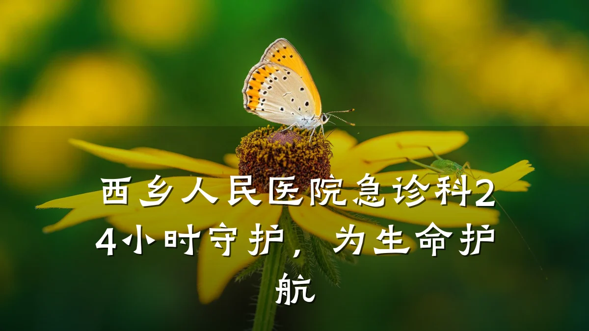 西乡人民医院急诊科24小时守护，为生命护航