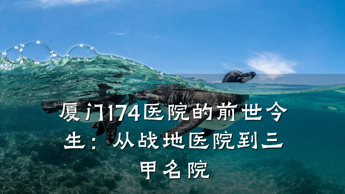 厦门174医院的前世今生：从战地医院到三甲名院
