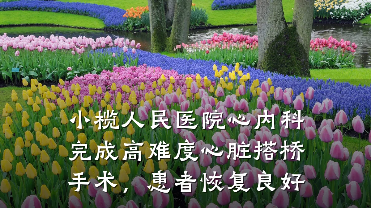 小榄人民医院心内科完成高难度心脏搭桥手术,患者恢复良好