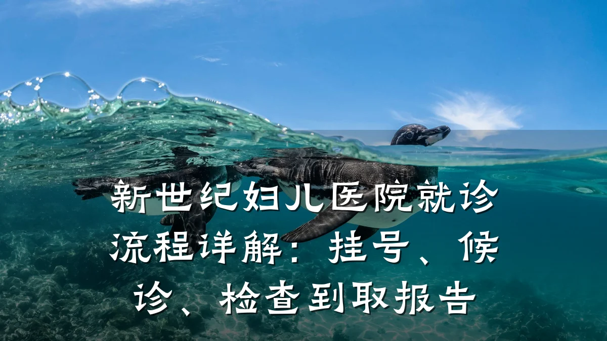 新世纪妇儿医院就诊流程详解:挂号、候诊、检查到取报告