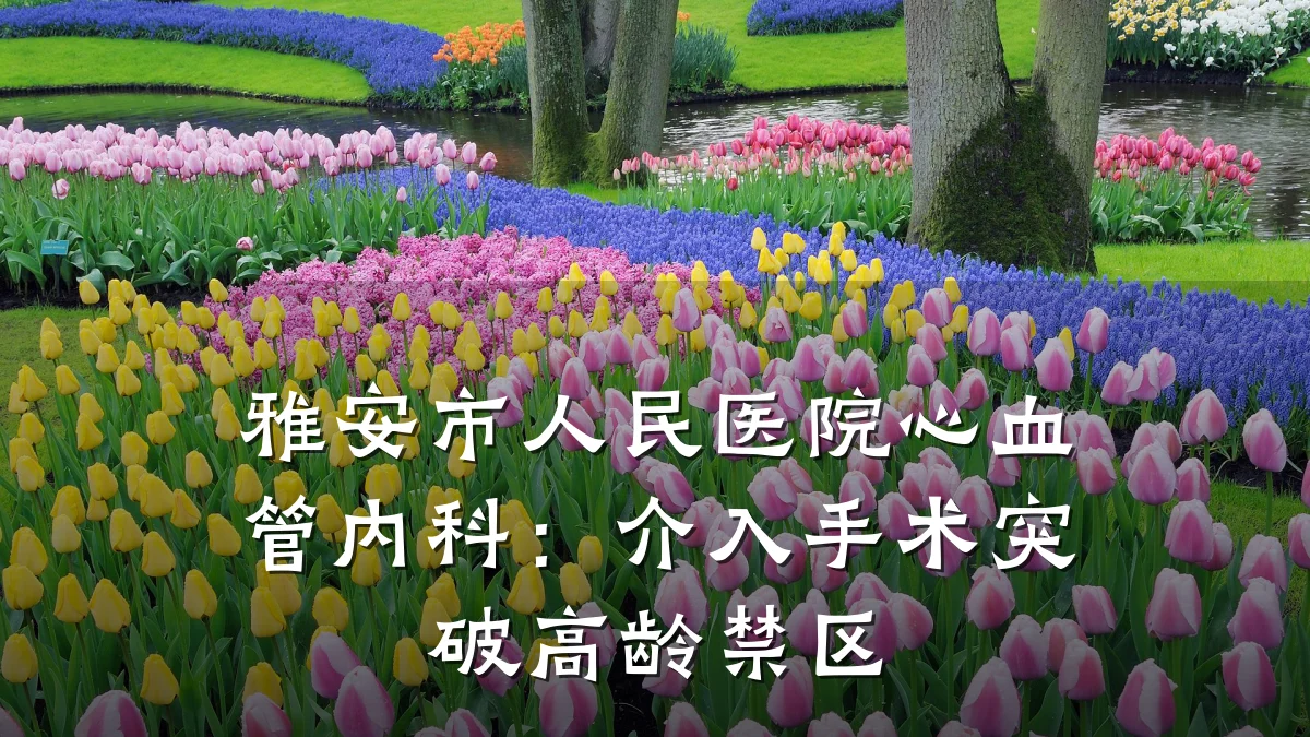 雅安市人民医院心血管内科：介入手术突破高龄禁区