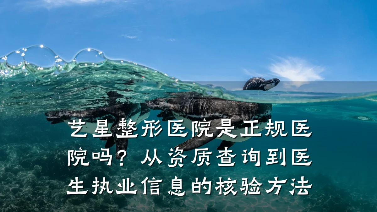 艺星整形医院是正规医院吗？从资质查询到医生执业信息的核验方法