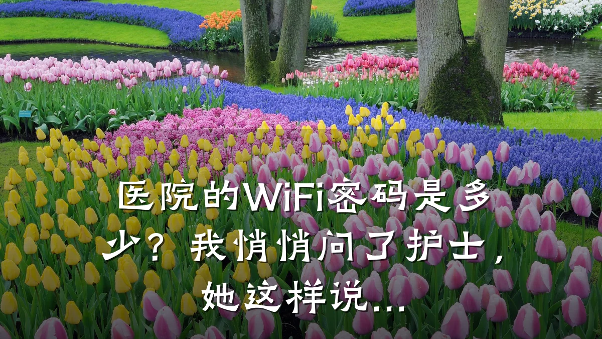 医院的WiFi密码是多少？我悄悄问了护士，她这样说...