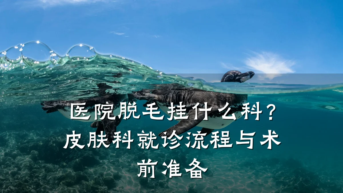 医院脱毛挂什么科?皮肤科就诊流程与术前准备