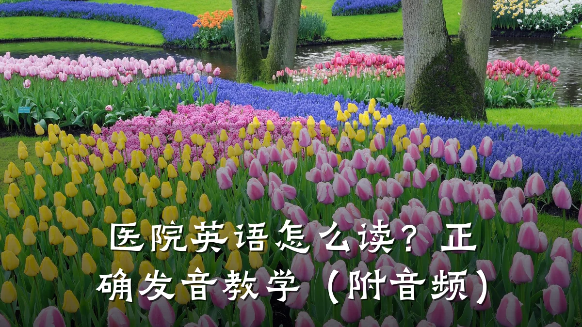 医院英语怎么读？正确发音教学（附音频）