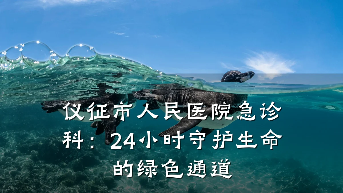 仪征市人民医院急诊科:24小时守护生命的绿色通道