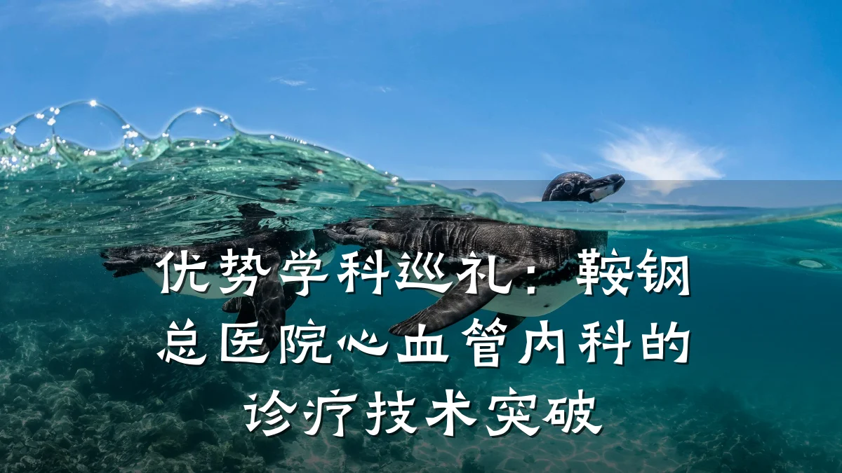 优势学科巡礼:鞍钢总医院心血管内科的诊疗技术突破