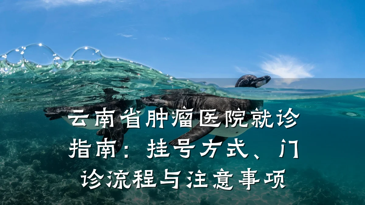 云南省肿瘤医院就诊指南：挂号方式、门诊流程与注意事项