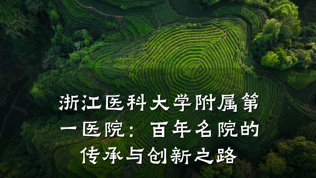 浙江医科大学附属第一医院：百年名院的传承与创新之路