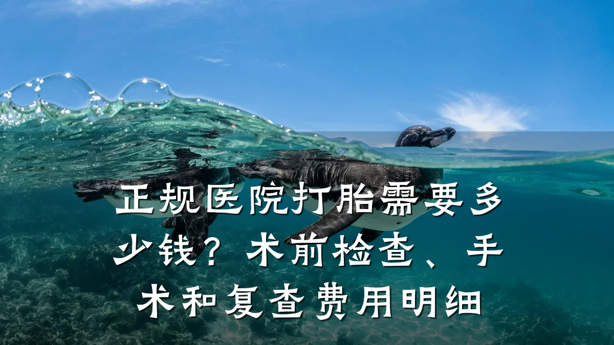 正规医院打胎需要多少钱？术前检查、手术和复查费用明细