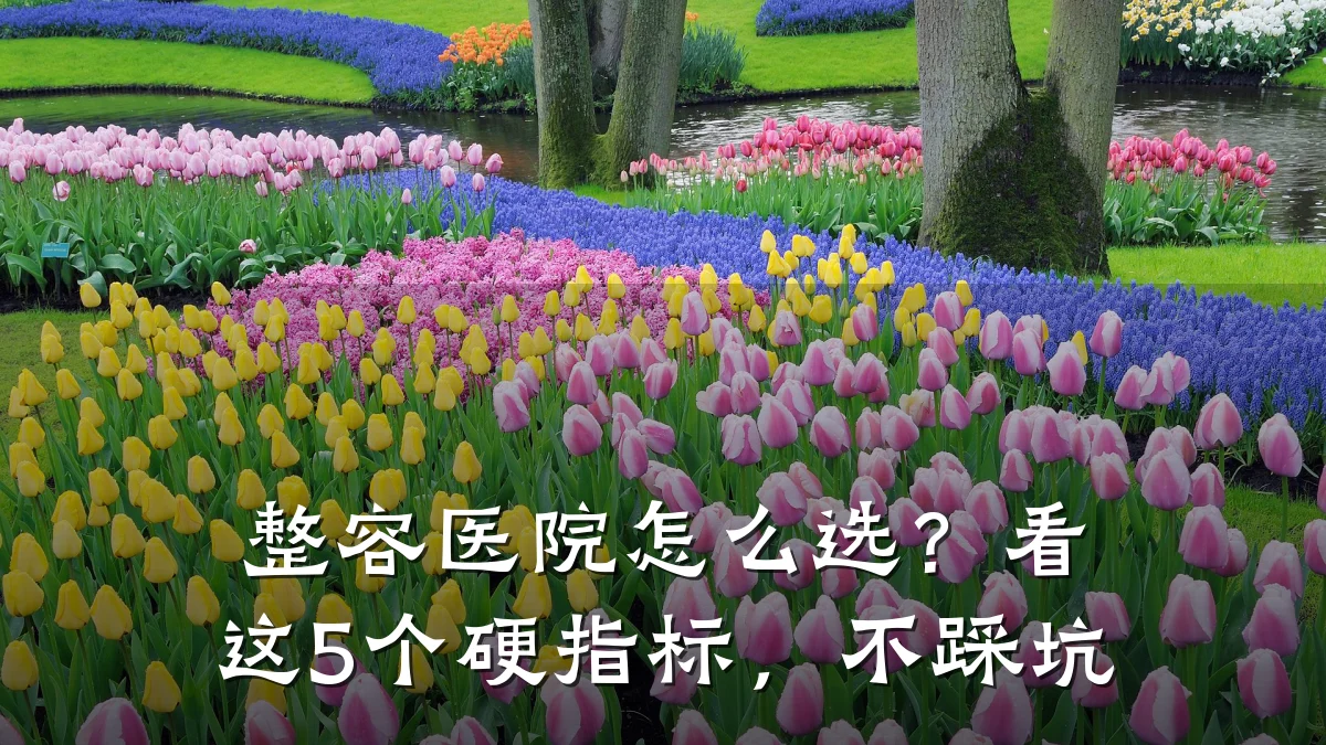 整容医院怎么选？看这5个硬指标，不踩坑
