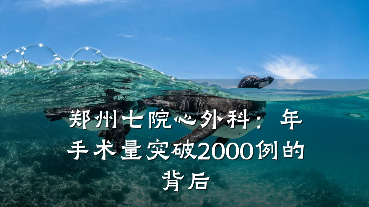 郑州七院心外科：年手术量突破2000例的背后
