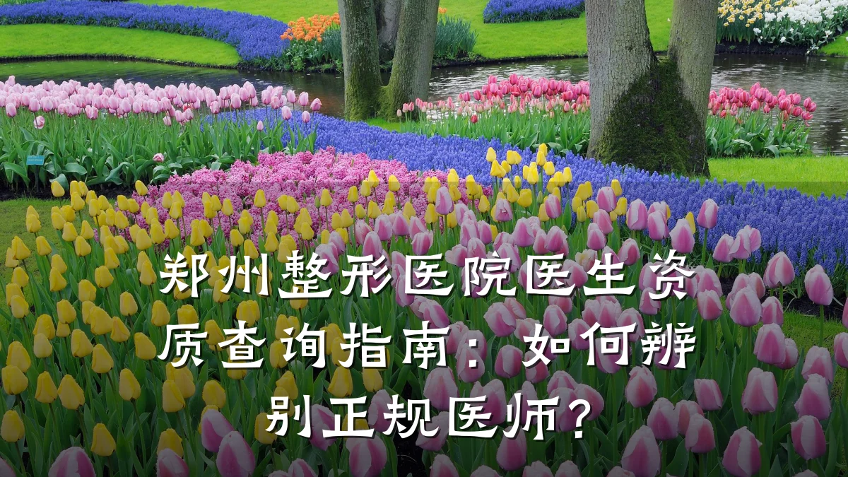郑州整形医院医生资质查询指南:如何辨别正规医师?