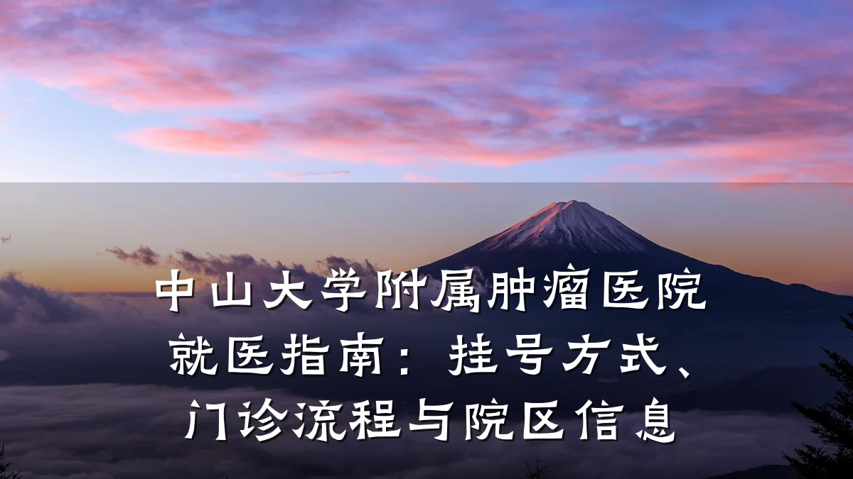 中山大学附属肿瘤医院就医指南：挂号方式、门诊流程与院区信息