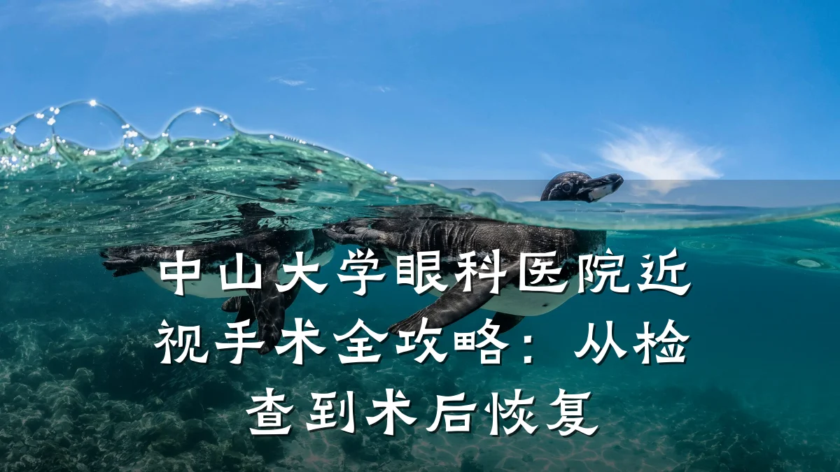 中山大学眼科医院近视手术全攻略：从检查到术后恢复