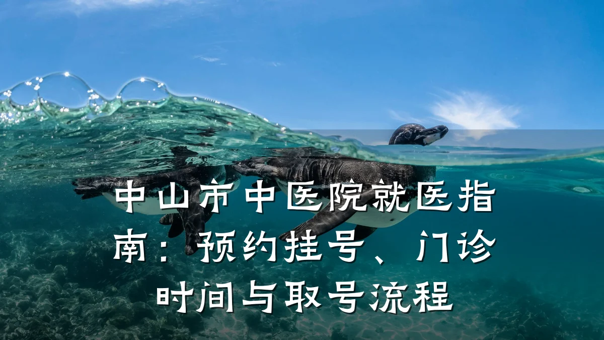 中山市中医院就医指南：预约挂号、门诊时间与取号流程
