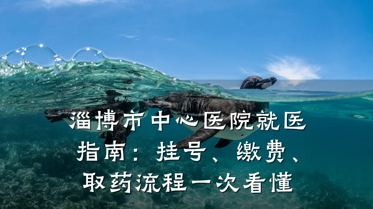 淄博市中心医院就医指南：挂号、缴费、取药流程一次看懂