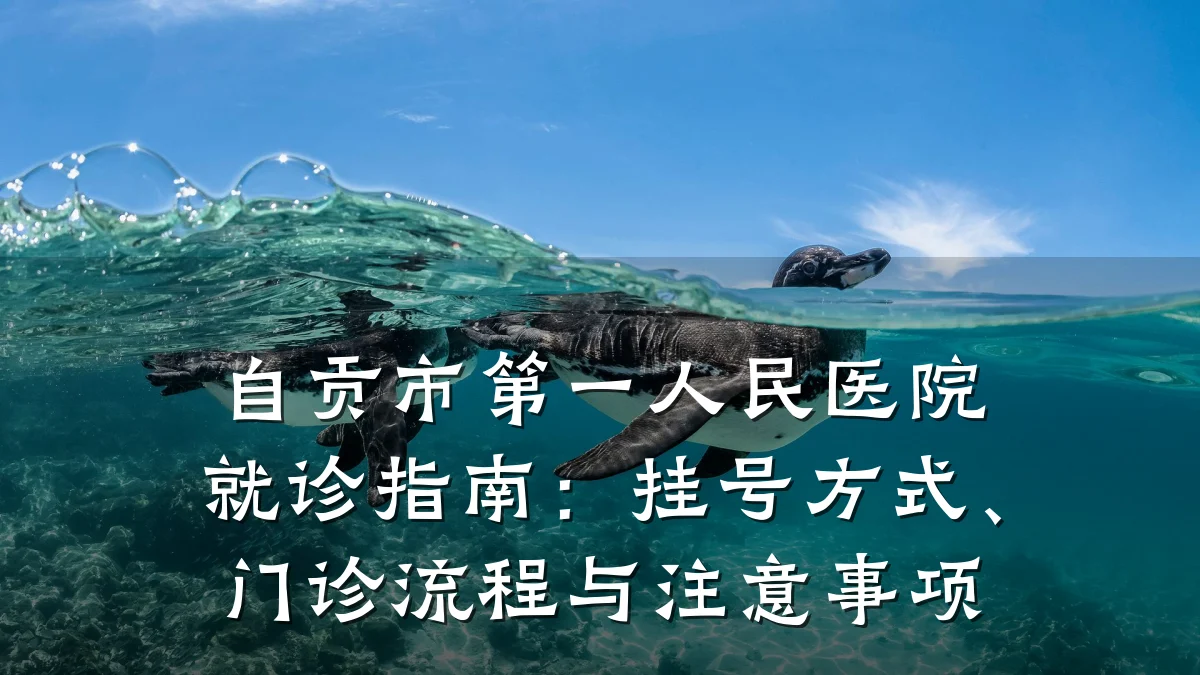 自贡市第一人民医院就诊指南：挂号方式、门诊流程与注意事项