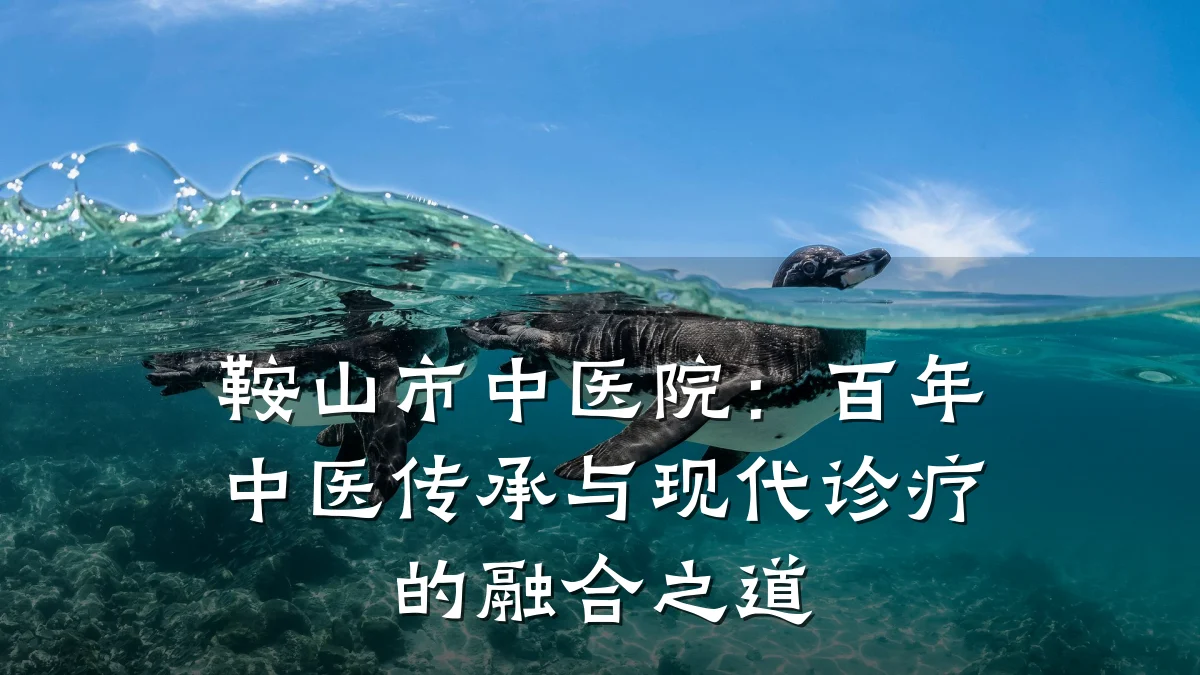 鞍山市中医院：百年中医传承与现代诊疗的融合之道
