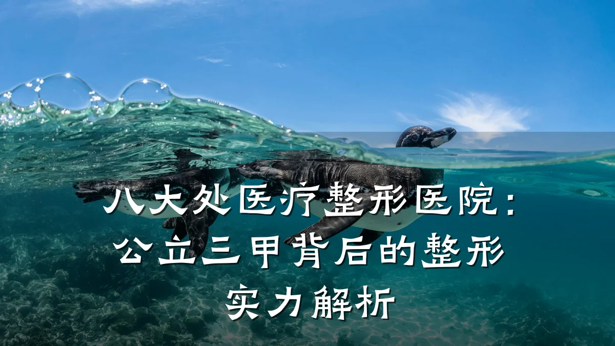 八大处医疗整形医院：公立三甲背后的整形实力解析