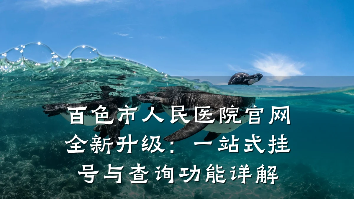 百色市人民医院官网全新升级：一站式挂号与查询功能详解