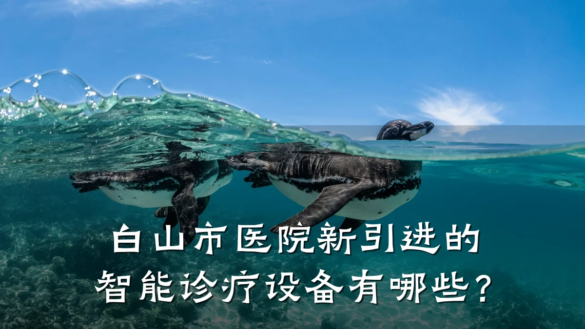 白山市医院新引进的智能诊疗设备有哪些?
