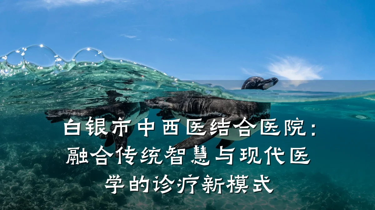 白银市中西医结合医院:融合传统智慧与现代医学的诊疗新模式