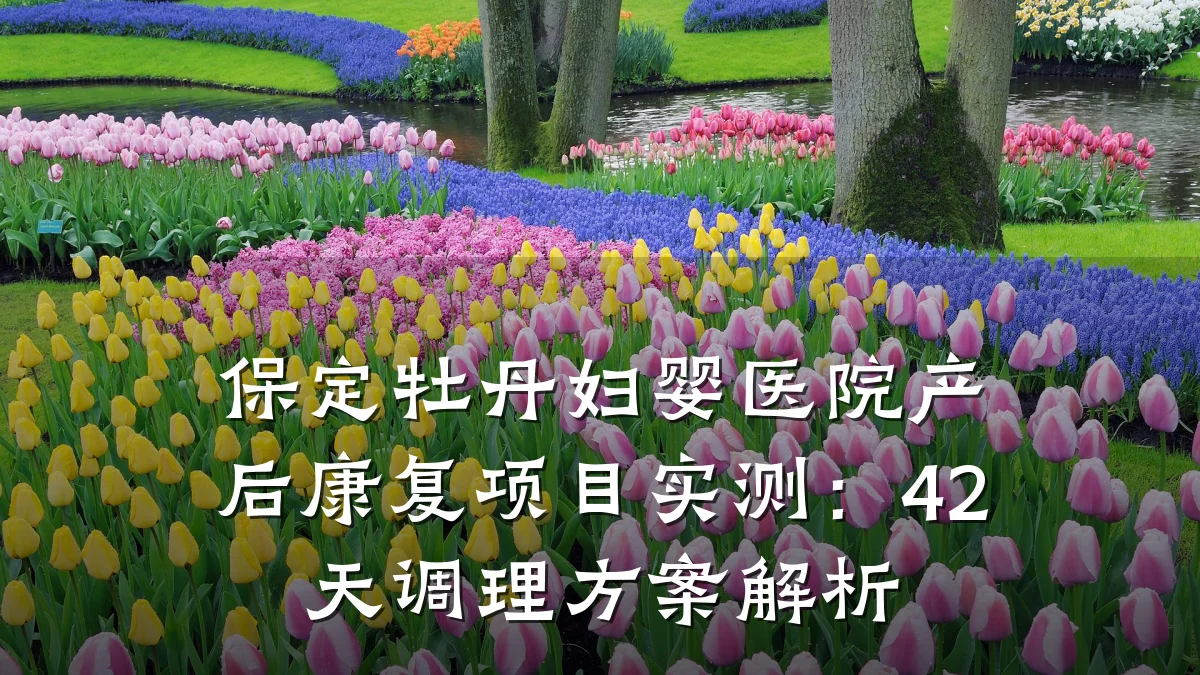 保定牡丹妇婴医院产后康复项目实测:42天调理方案解析