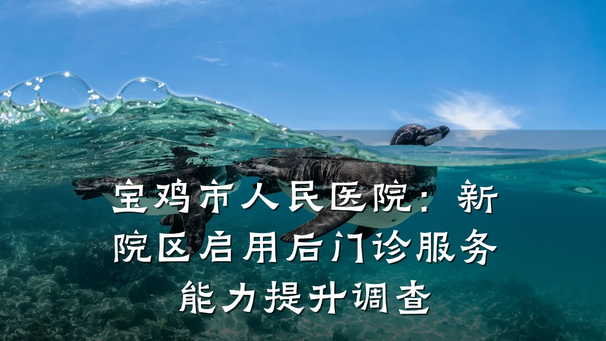 宝鸡市人民医院:新院区启用后门诊服务能力提升调查