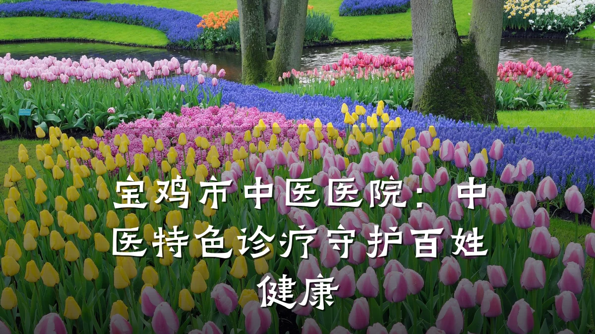 宝鸡市中医医院:中医特色诊疗守护百姓健康